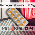 Kamagra Sildenafil 100Mg levitra1